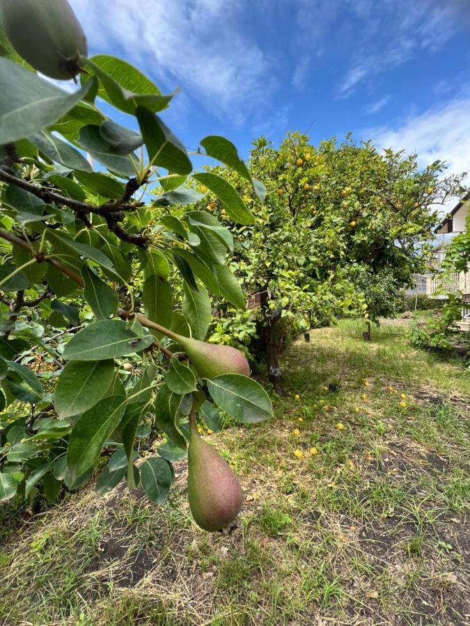 Casa Vacanze "Sautufao" Santa Venerina Eksteriør billede