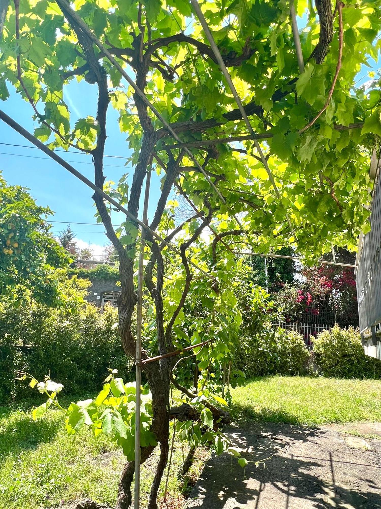 Casa Vacanze "Sautufao" Santa Venerina Eksteriør billede